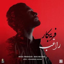Player Cover